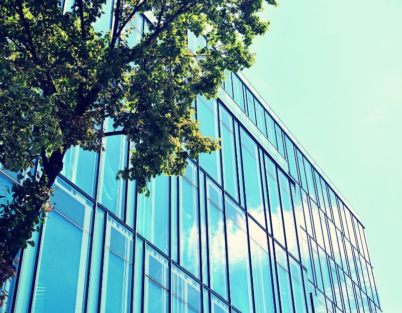 Building with tree