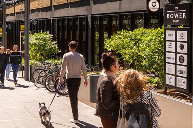 Bio-enzyme Cleaning Cuts Carbon and Boosts Wellbeing at The Bower