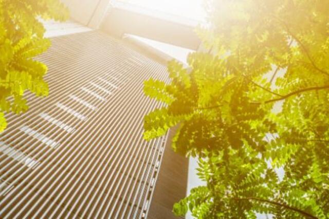 CAPITA shares its Green Week Highlights