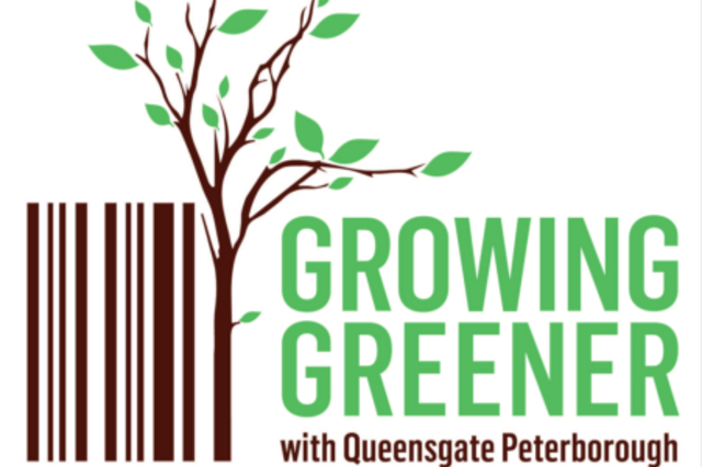 Retailers Growing Greener with JLL at Queensgate